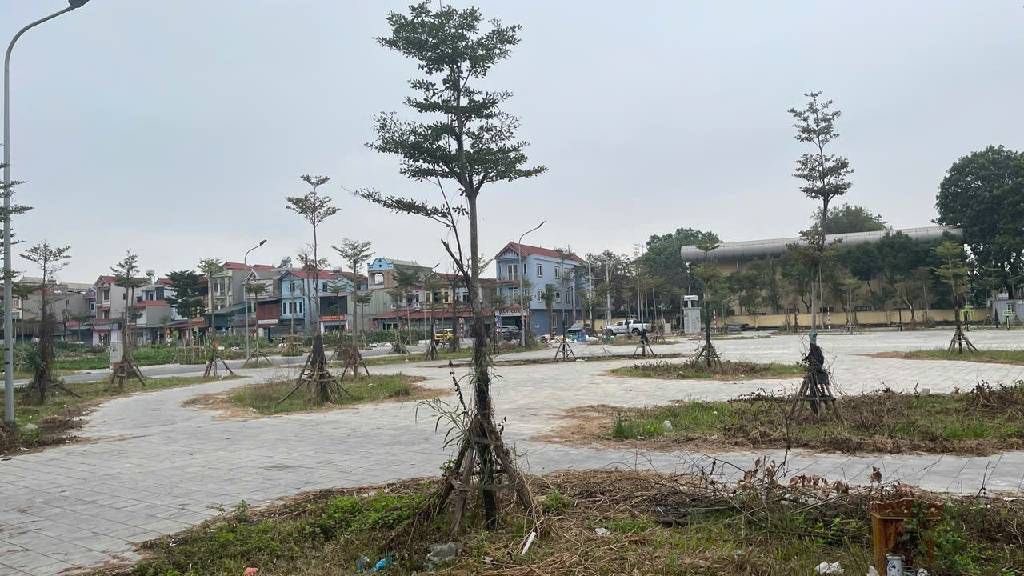 Nhà cấp 4 Liên Hà Đông Anh 69m² giá thỏa thuận - Đầu tư sinh lời cao!