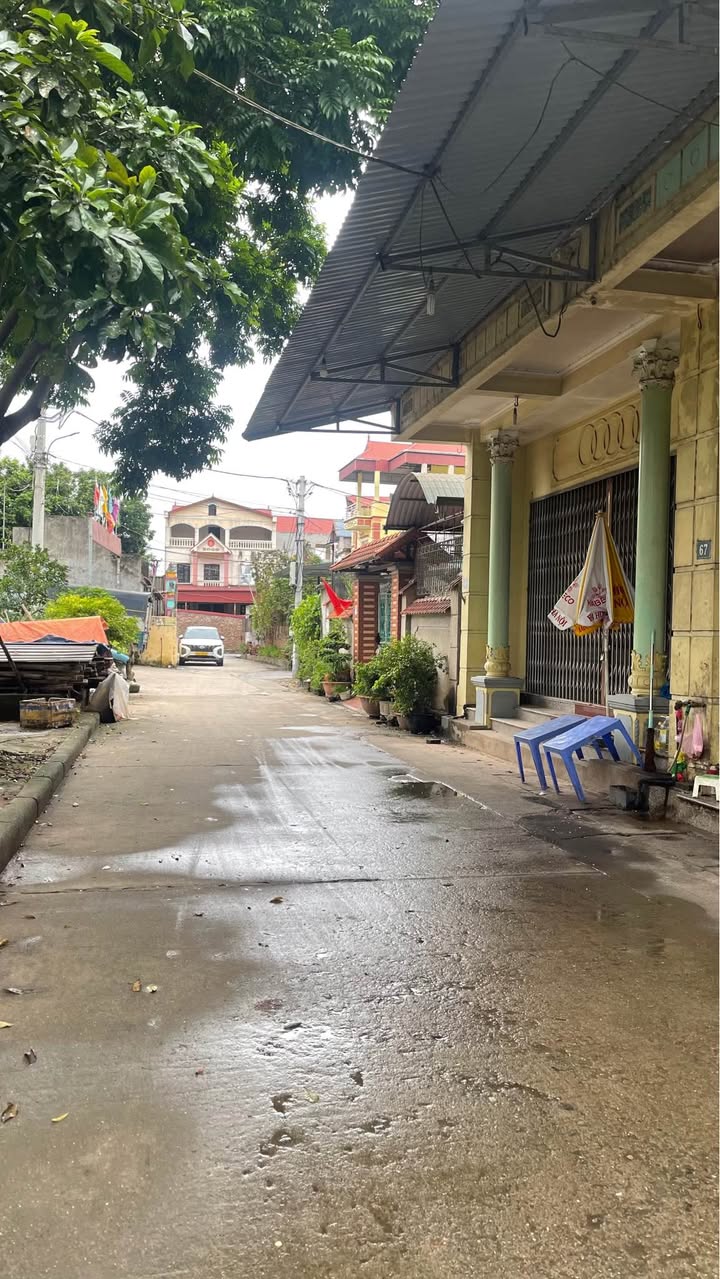 Đất nền Đông Trù, Đông Anh 100m² giá thương lượng - Đầu tư sinh lời ngay!