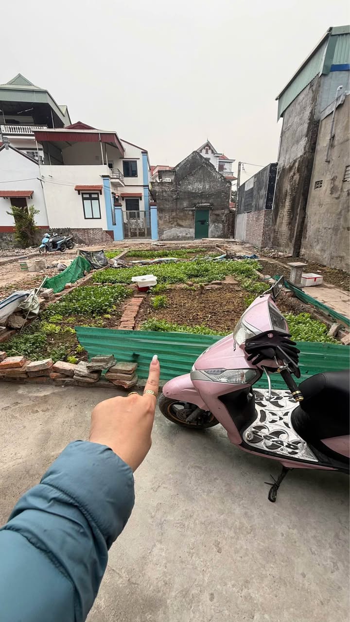 Đất thổ cư TDP. Rừng, Mỹ Hào 50m² giá 1 tỷ - Vị trí đắc địa, an ninh tốt!