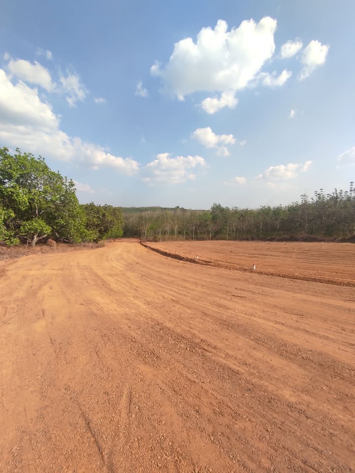 Đất nền mặt tiền đường 10m, Đồng Phú, 175m² - Đầu tư sinh lời ngay!