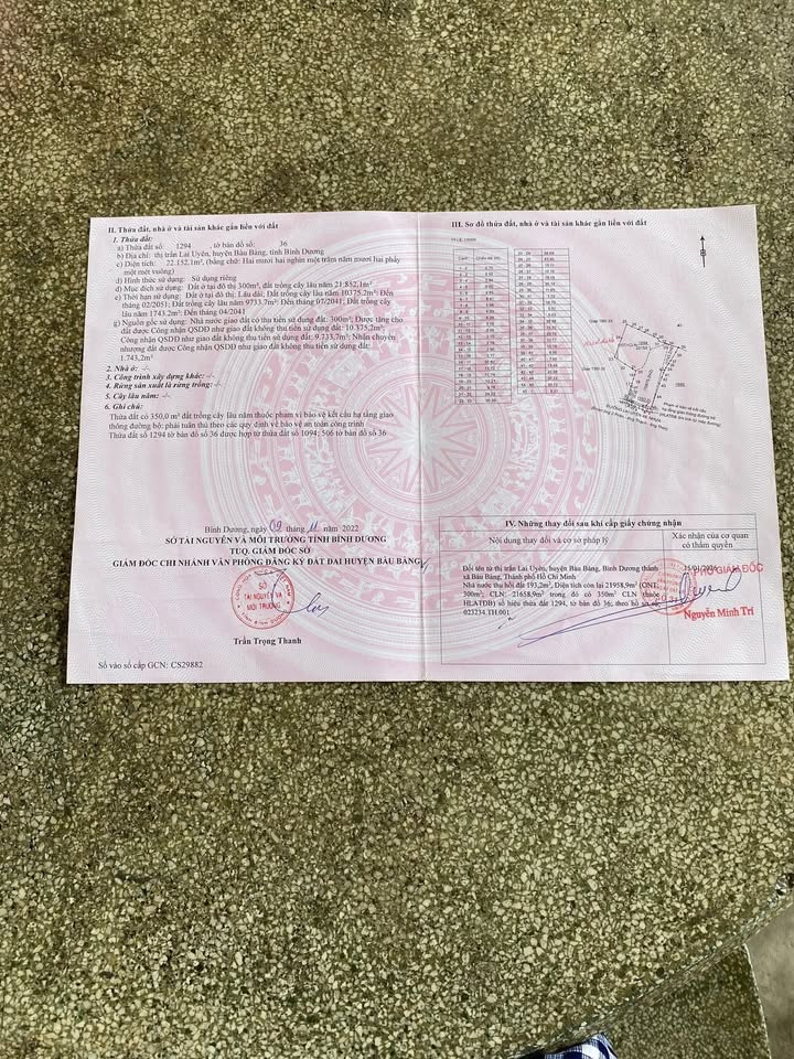 Đất nền Bàu Bàng 20.000m² giá 36 tỷ - Cơ hội đầu tư hấp dẫn!