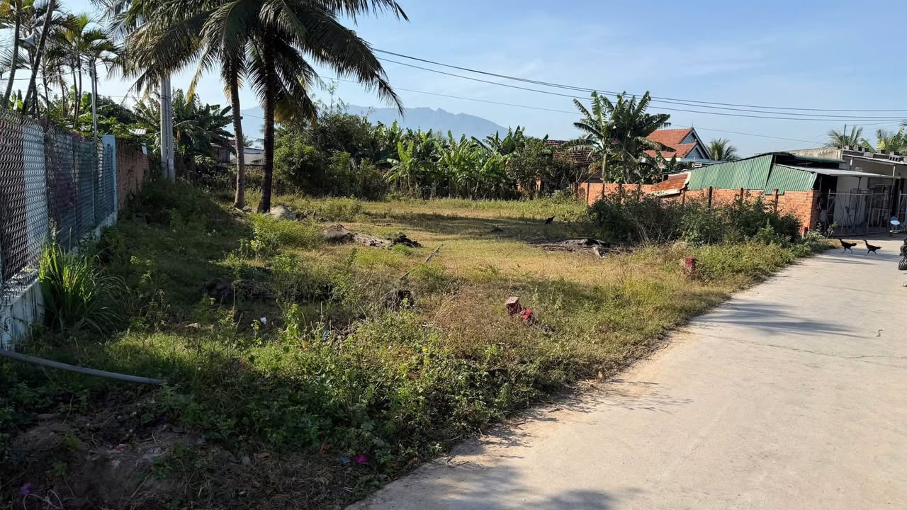 Đất nền TDP Đại Cát 1, Ninh Hòa, Diện tích từ 101m² - Sổ hồng chính chủ!