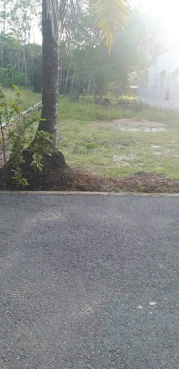 Đất nền mặt tiền đường DX, Thủ Dầu Một, 160m² giá chỉ 1.3 tỷ - Cơ hội đầu tư hấp dẫn!