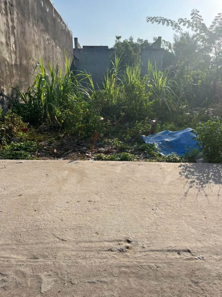 Đất nền 100m² xã Tân Xuân - Giá chỉ 1.15 tỷ, sổ hồng chính chủ!