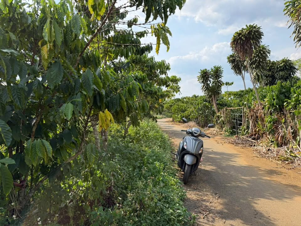 Đất nền 2.8 sào tại xã Bảo Lâm, Lâm Đồng giá chỉ 2.3 tỷ - Cơ hội đầu tư tuyệt vời!