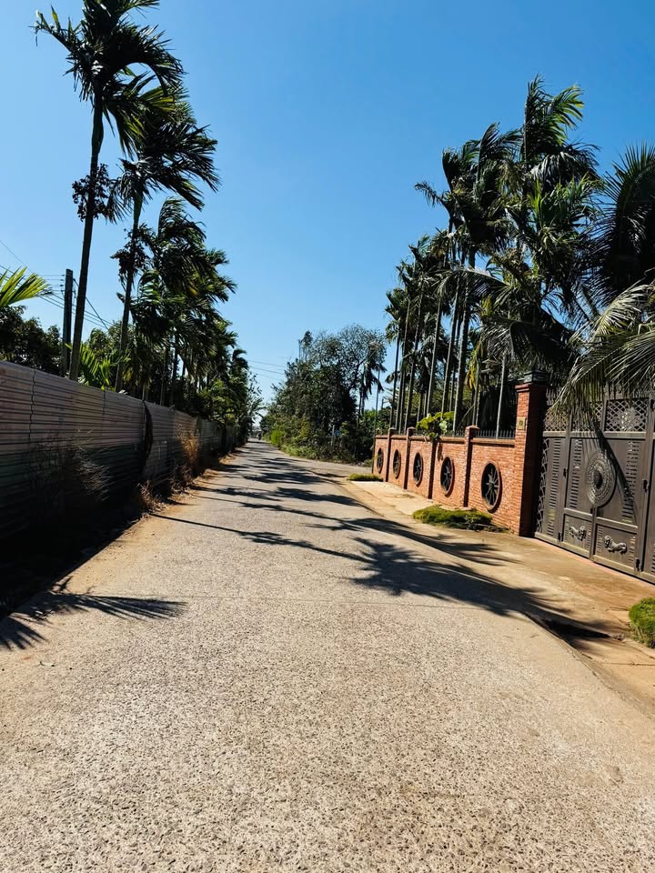 Đất nền đường Lý Thái Tổ, xã Quảng Tiến, 135m² chỉ 1 tỷ - Cần bán gấp!