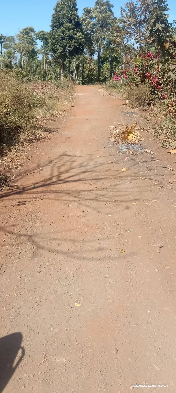 Đất nền Xã Cư M'Lan, Huyện Ea Súp, 320m² - Giá tốt, cơ hội đầu tư!