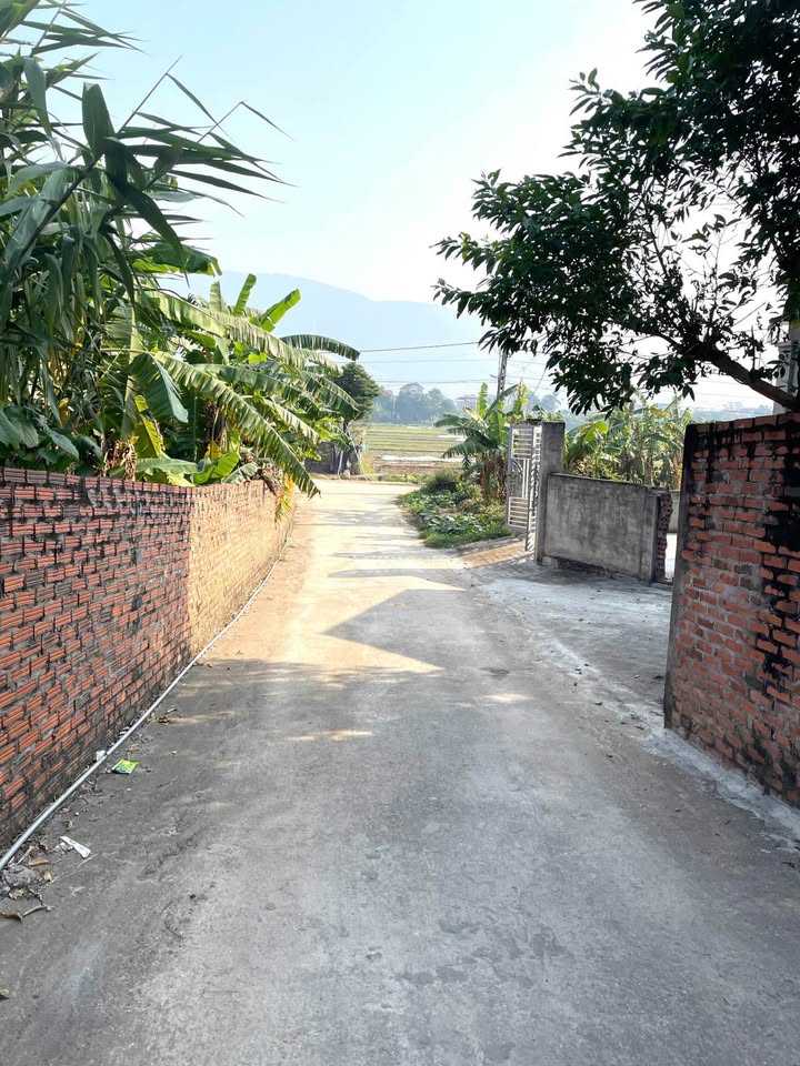 Bán đất thổ cư 135m² tại thôn Đầu Vai, huyện Tam Đảo - Giá chỉ 750 triệu!