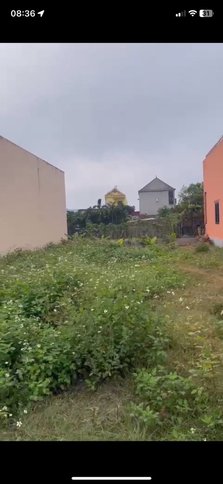 Đất thổ cư Giao Yến 99m² giá 1 tỷ - Pháp lý rõ ràng, không lỗi phong thủy!