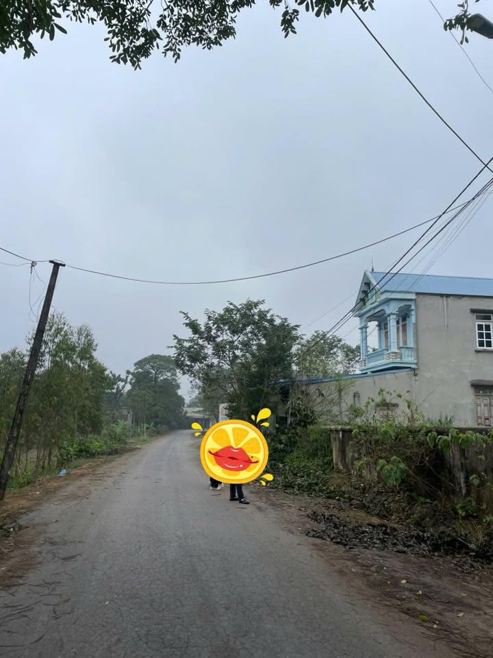 Đất nền thôn Đại Đình, huyện Tam Đảo 150.8m² giá chỉ 1.2 tỷ - Kinh doanh ngay!