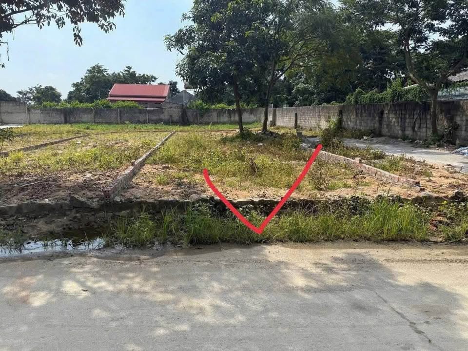 Đất nền thổ cư 106,8m² tại Đại Đình, Tam Đảo - Giá chỉ 600 triệu VND