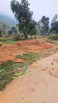 Đất nghỉ dưỡng 555m² tại Mỹ Lương, Yên Lập - Giá 500 triệu, vị trí lô góc tuyệt đẹp!