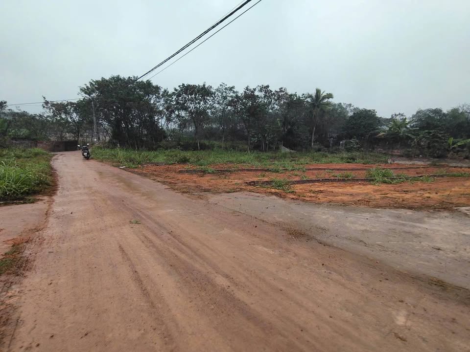 Đất nền chính chủ tại xã Hướng Đạo, huyện Tam Dương, 126m² - Giá chỉ 700 triệu!