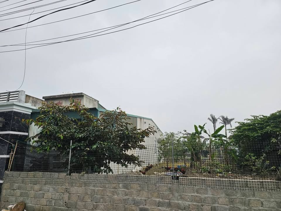 Lô đất 100m² tại Huyện Đông Sơn, Thanh Hóa giá 1 tỷ - Cơ hội đầu tư hấp dẫn!