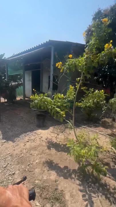 Đất nền 200m² tại Ấp Bà Từ, Xã Phú Tân, Giá chỉ 230 triệu - Tiềm năng sinh lời cao!