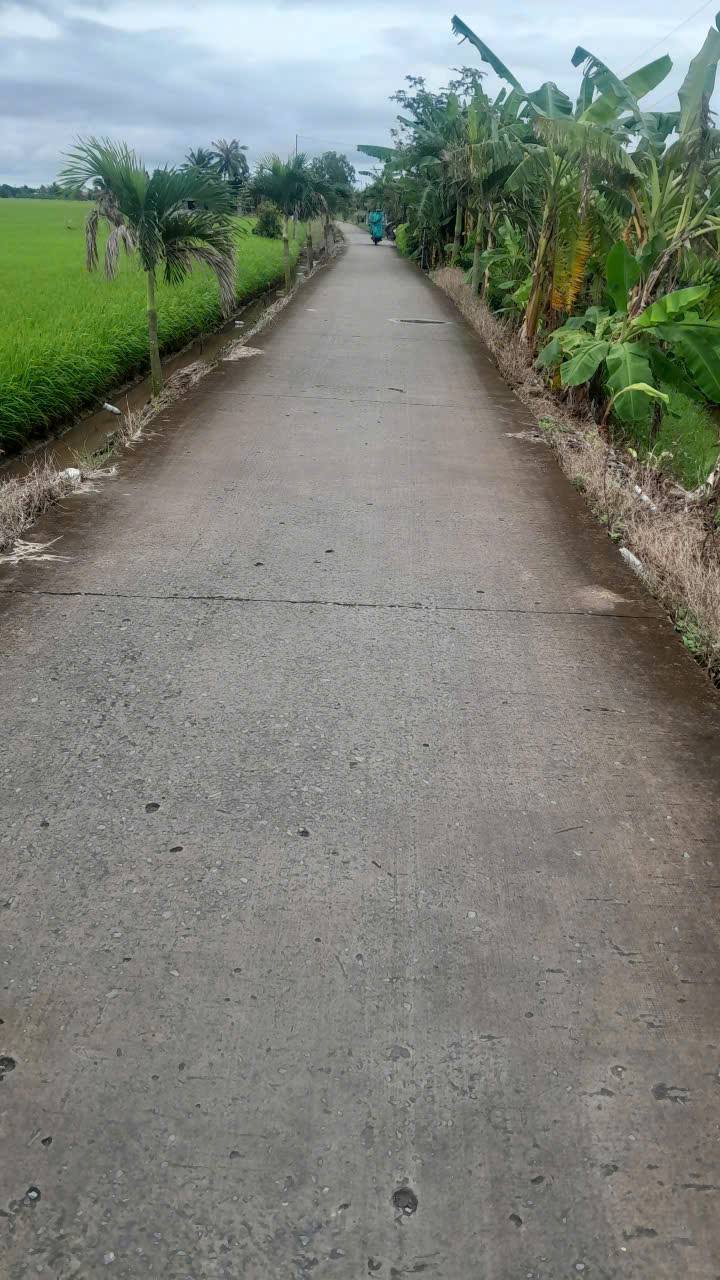 Đất nền mặt tiền Đan thuộc Mỹ Lạc, Thủ Thừa, Long An 3000m² - Đầu tư sinh lời ngay!