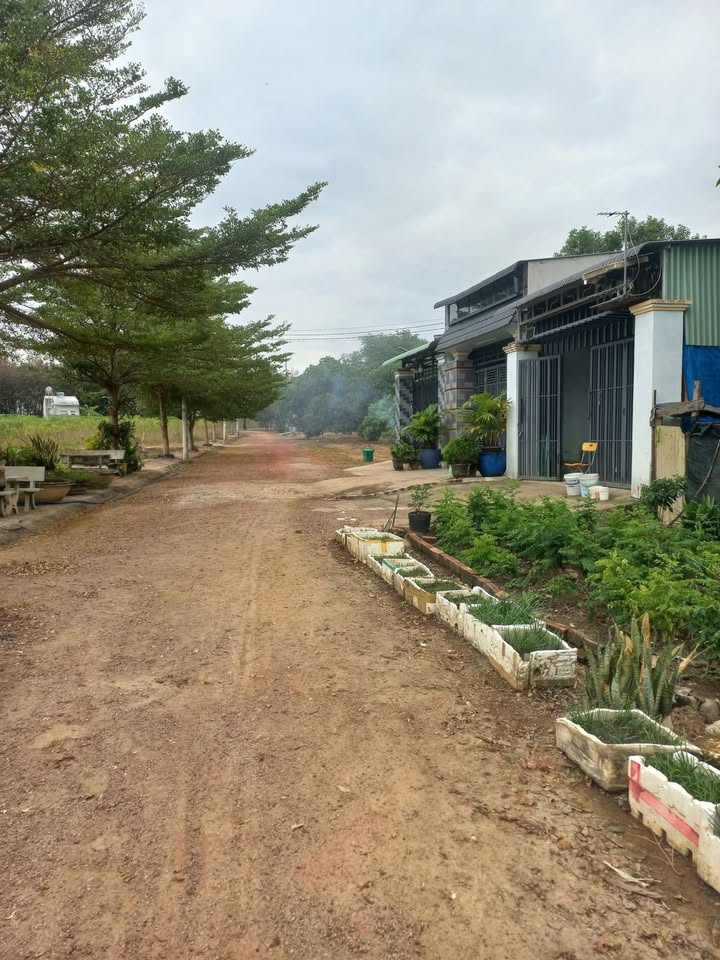 Đất nền Thị trấn Đức Phong, 150m² giá 500 triệu - Gần khu công nghiệp thuận tiện làm việc!