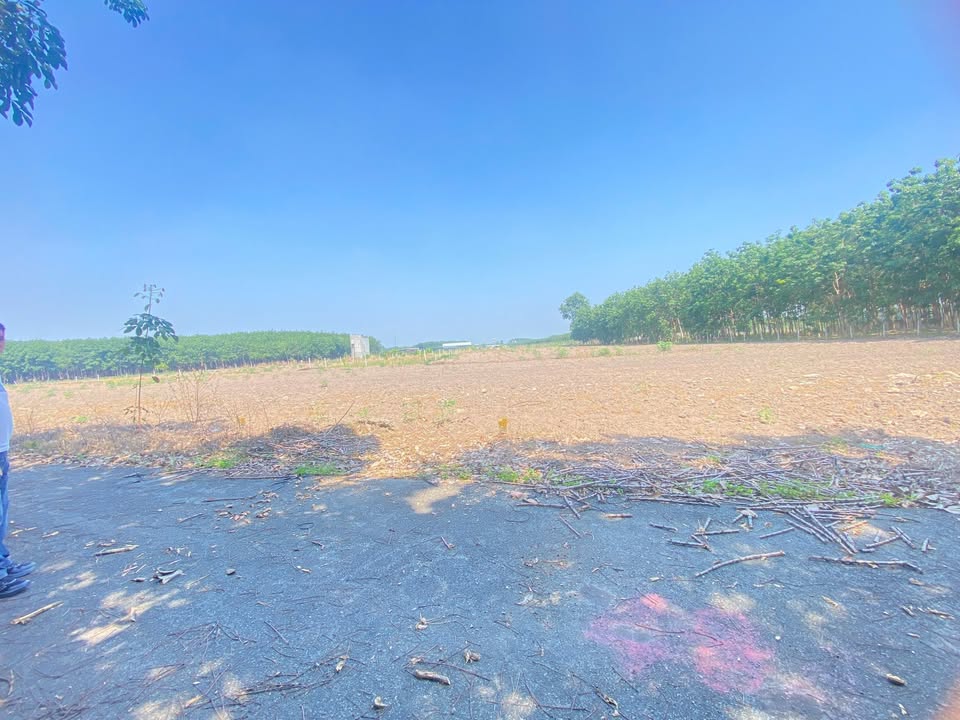 Đất nền Minh Thắng, Chơn Thành 170m² giá 300 triệu - Cơ hội đầu tư hấp dẫn!