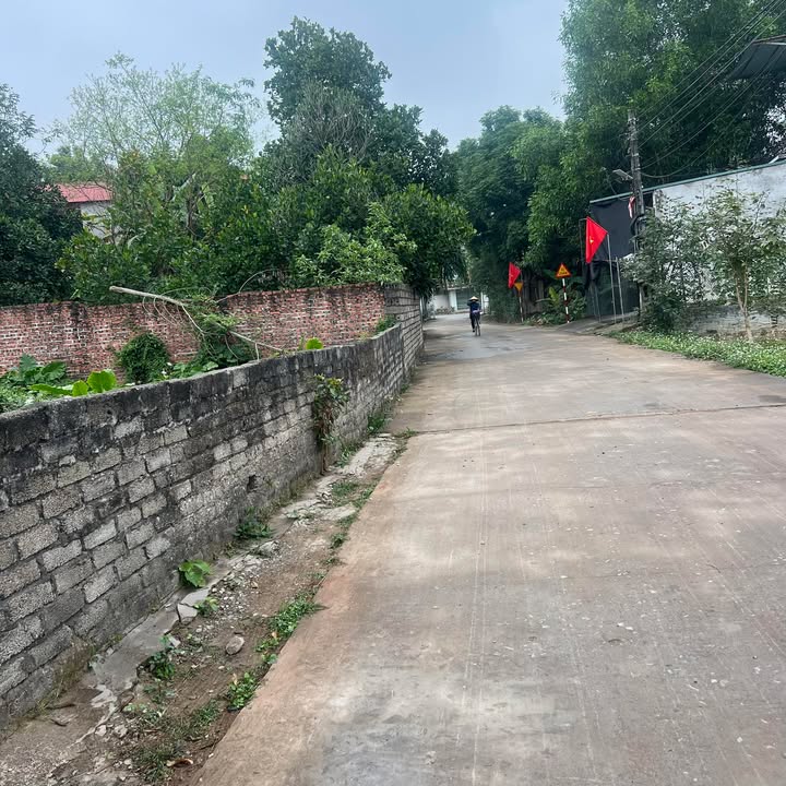 Đất nền Xã Phúc Sơn, Huyện Tân Yên 200m² giá thỏa thuận - Đầu tư sinh lời ngay!