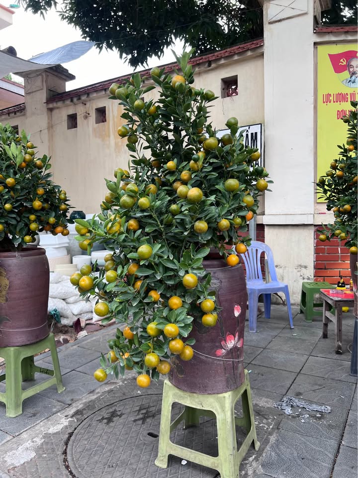 Đất nền mặt đường Bãi Vượt, Nam Định 140m² giá 5.6 tỷ - Cơ hội đầu tư hấp dẫn!