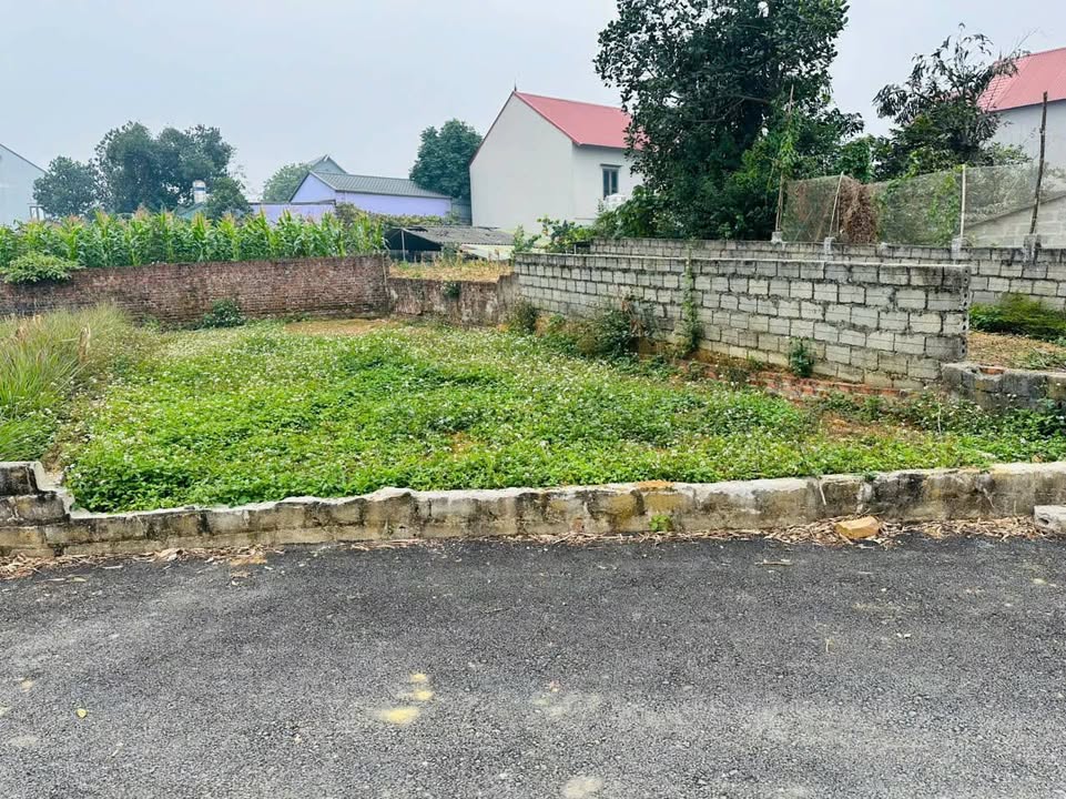 Lô đất đẹp tại Đông Yên, Quốc Oai, 105m² giá chỉ 2.415 tỷ - Cơ hội vàng cho nhà đầu tư!