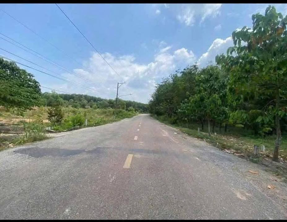 Đất nền tại xã Phước Sang, huyện Phú Giáo, diện tích 325m² - Giá chỉ 580 triệu!