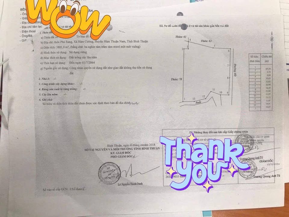 Đất chính chủ 959m² tại Hàm Cường, Hàm Thuận Nam - Giá chỉ 1 tỷ!