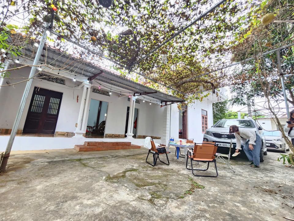 Farm nhà vườn 686m² tại Phú Cát - Giá 10 tỷ - Sẵn sàng giao dịch!