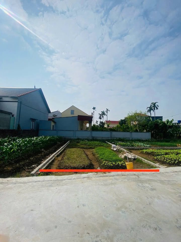 Đất nền Tiên Cường - Tiên Lãng 60m² giá chỉ từ 500 triệu - Cơ hội đầu tư tuyệt vời!