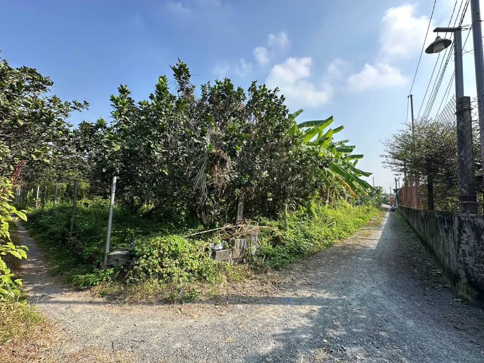 Đất nền Tân Bình, Vĩnh Cửu, Đồng Nai 1559m² - Giá tốt đầu tư!