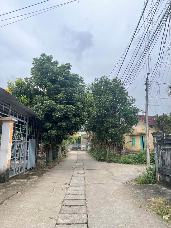 Đất nền hẻm Bích Khê Quảng Ngãi 110m² giá 1.29 tỷ - Đầu tư sinh lời cao!