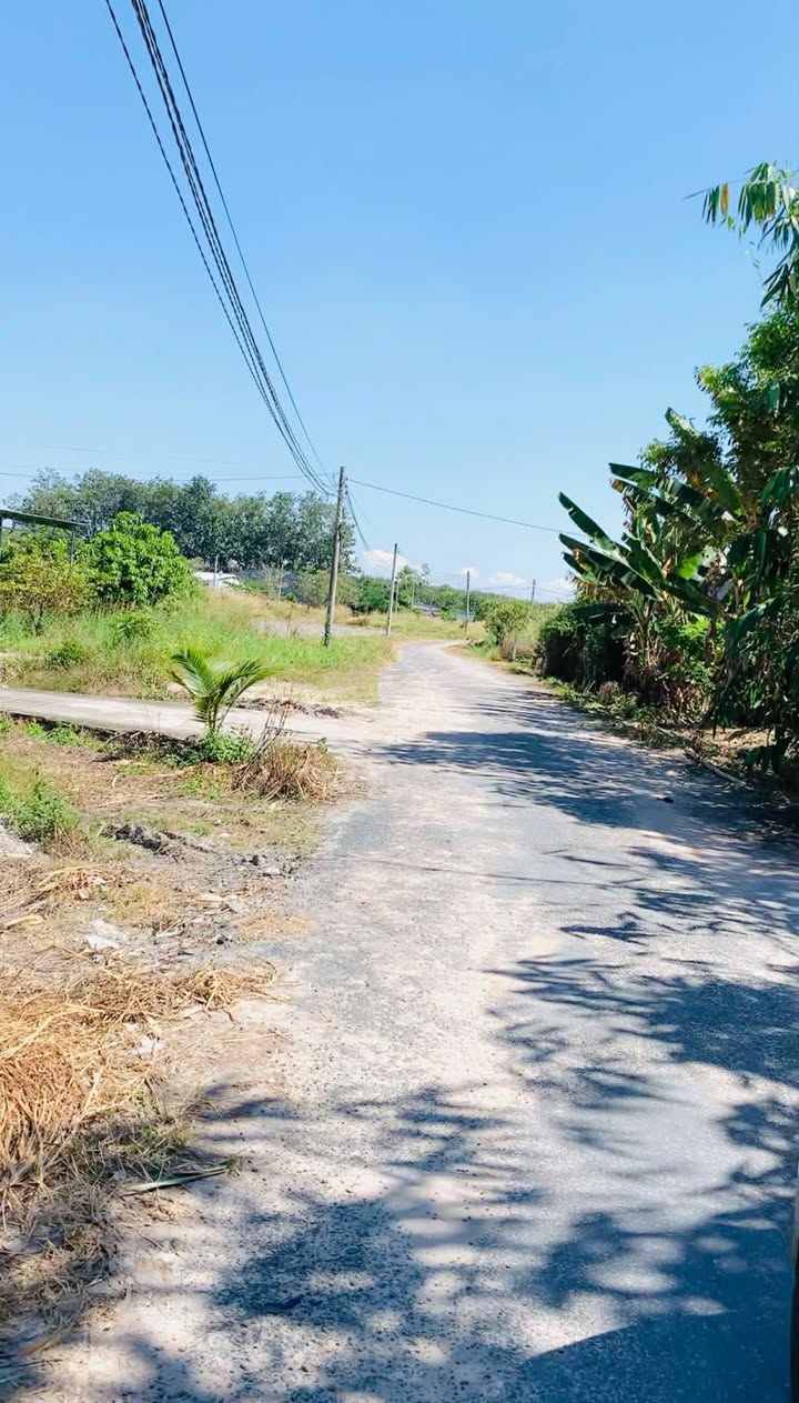 Đất thổ cư Phường Minh Long 225m² giá chỉ 500 triệu - Cơ hội đầu tư hấp dẫn!