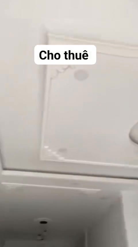 Nhà cấp 4 cho thuê tại Xã Phước Lợi, Huyện Bến Lức - Giá chỉ 3.5 triệu/tháng!