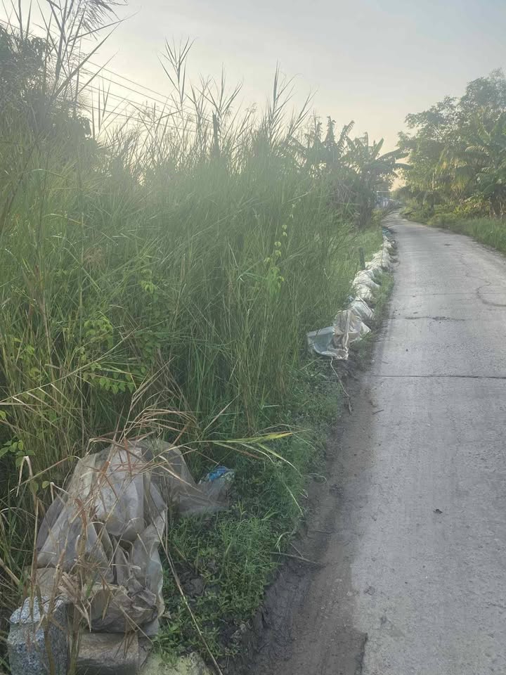 Đất nền xã Khánh Hưng, Huyện Trần Văn Thời, 500m² giá 450 triệu - Đầu tư sinh lời ngay!