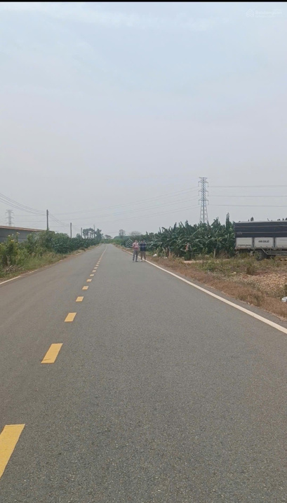 Đất nền Huyện Củ Chi, TP. Hồ Chí Minh 125m² chỉ 890 triệu - Đầu tư sinh lời ngay!