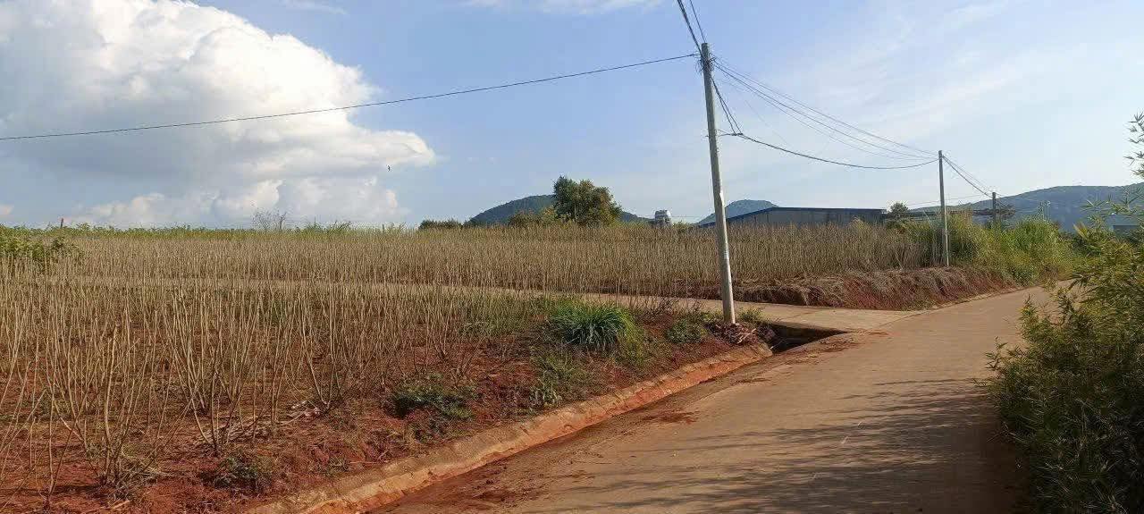 Đất nền 559m² tại Gia Lâm, Lâm Hà - Giá chỉ 1.25 tỷ, sẵn sàng xây dựng!