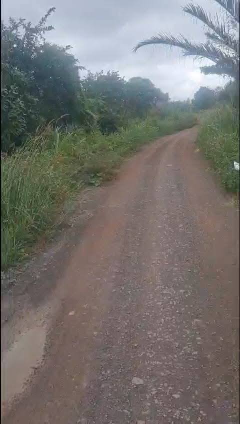 Nhà chính chủ 135m² tại xã Bình Quới, 950 triệu - Cơ hội đầu tư tuyệt vời!