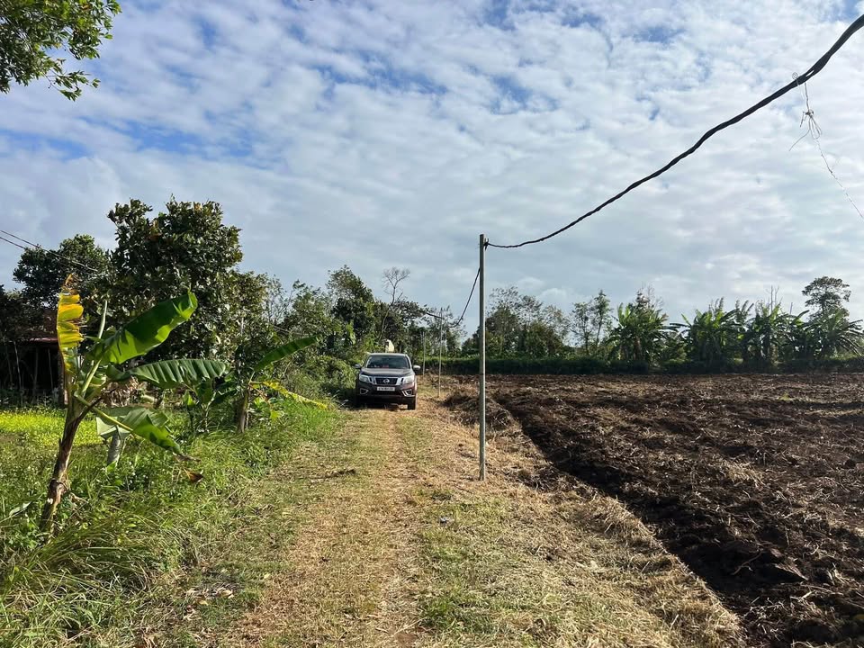 Đất nền 7,5 sào tại Thị trấn Ea Kar - Giá chỉ từ 200 triệu/sào - Đầu tư lý tưởng!