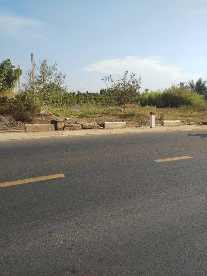 Đất thổ cư mặt tiền Quốc lộ 29, xã Tam Giang, 1150m² giá 17.975 tỷ - Cơ hội đầu tư hiếm có!