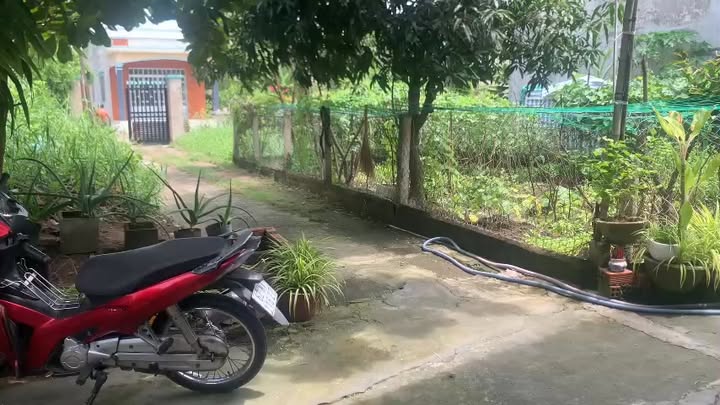 Đất nền Đình Trị Yên, Cần Giuộc 111m² giá 800 triệu - Cơ hội đầu tư tuyệt vời!