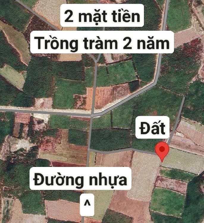 Đất 8.000m² hai mặt tiền tại Phường Bình Tân, La Gi - Giá mềm, ô tô vào tận nơi!