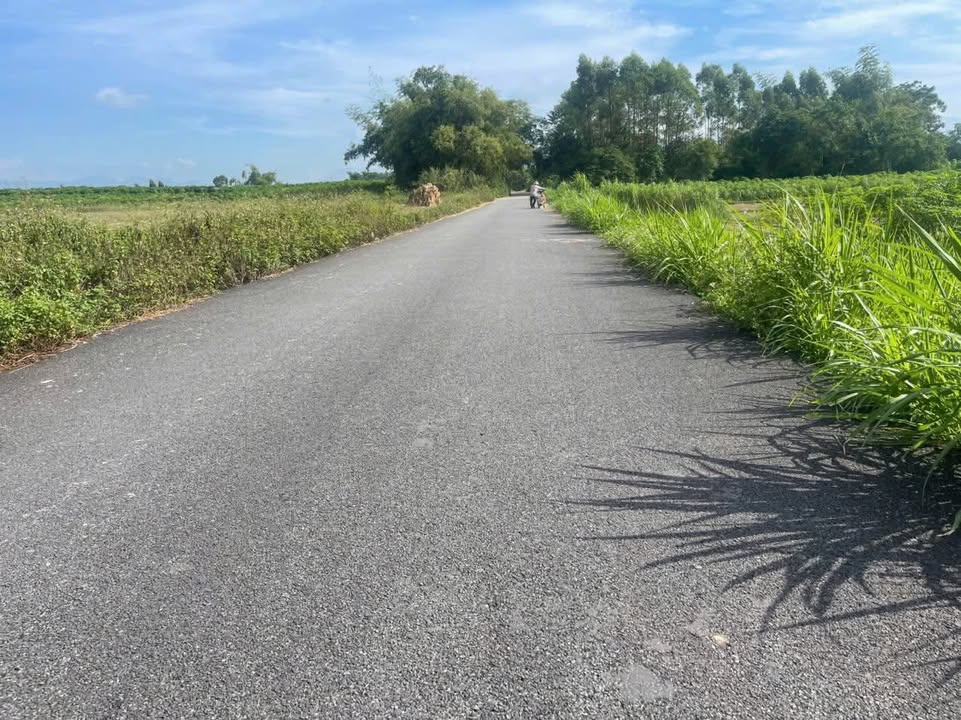 Đất nền Cao Phong, Sông Lô 100m² giá chỉ từ 100 tỷ - Cơ hội đầu tư không thể bỏ lỡ!