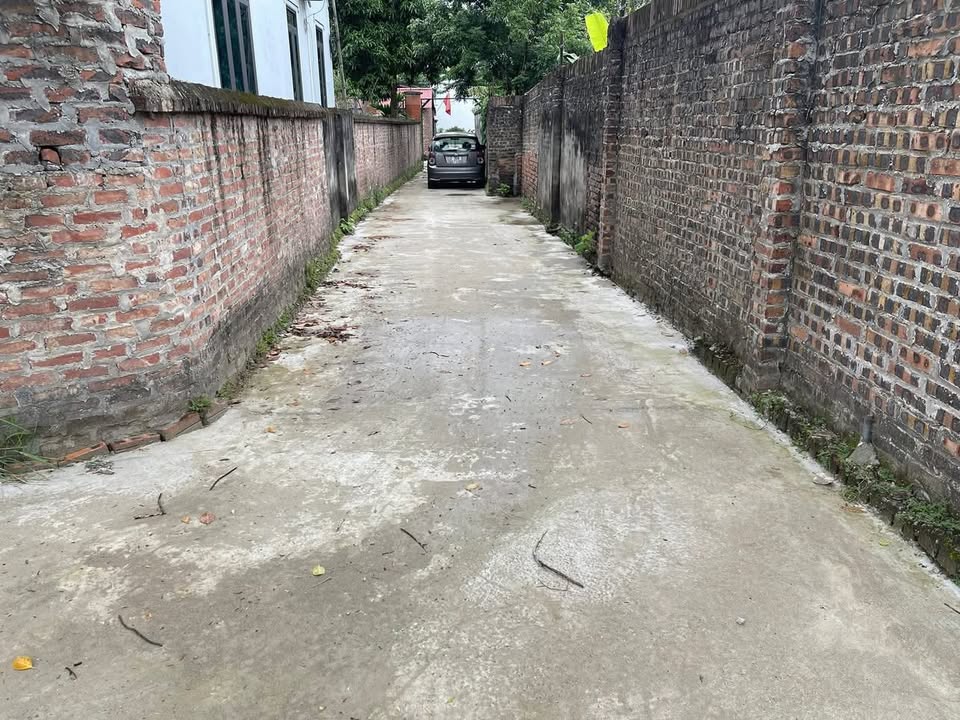 Lô đất 85m² tại Đan Tảo - Sóc Sơn giá chỉ 1 tỷ - Ô tô đỗ cửa!