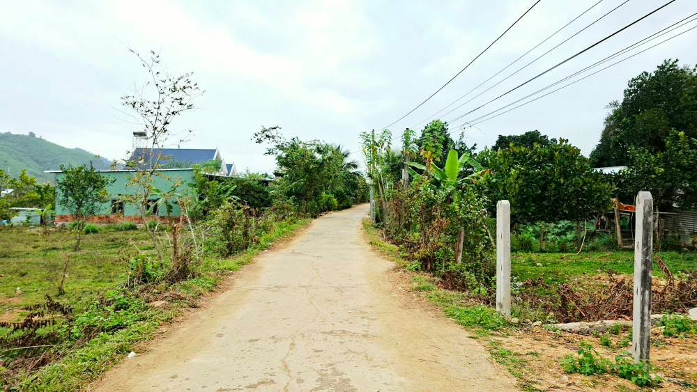 Đất nền nghỉ dưỡng Xã Bình Khánh 400m² giá 500 triệu - Sổ hồng chính chủ ngay!