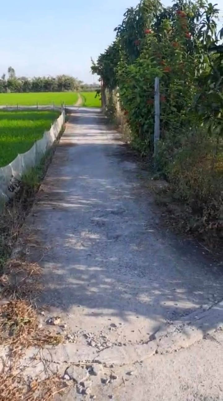 Đất Kênh 2, Châu Đốc, An Giang 1020m² giá 520 triệu - Cơ hội đầu tư lý tưởng!