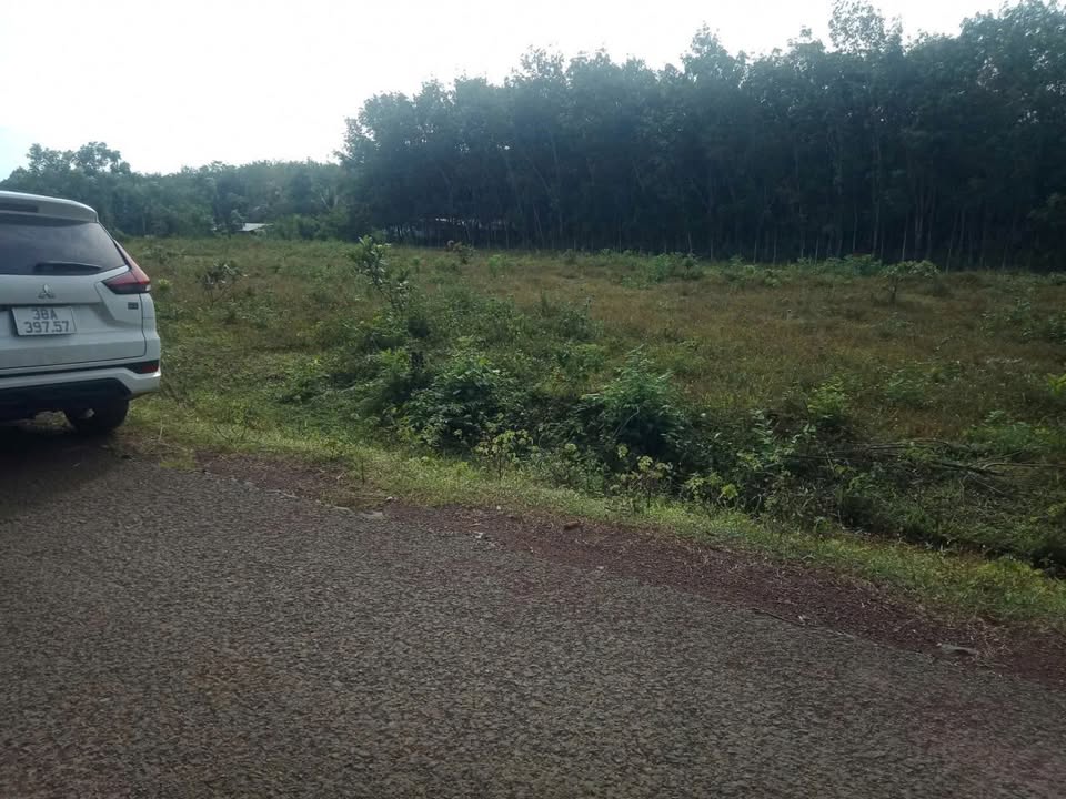 Đất nền Chơn Thành, Bình Phước 254,5m² giá chỉ 1,1 tỷ - Đầu tư sinh lời cao!