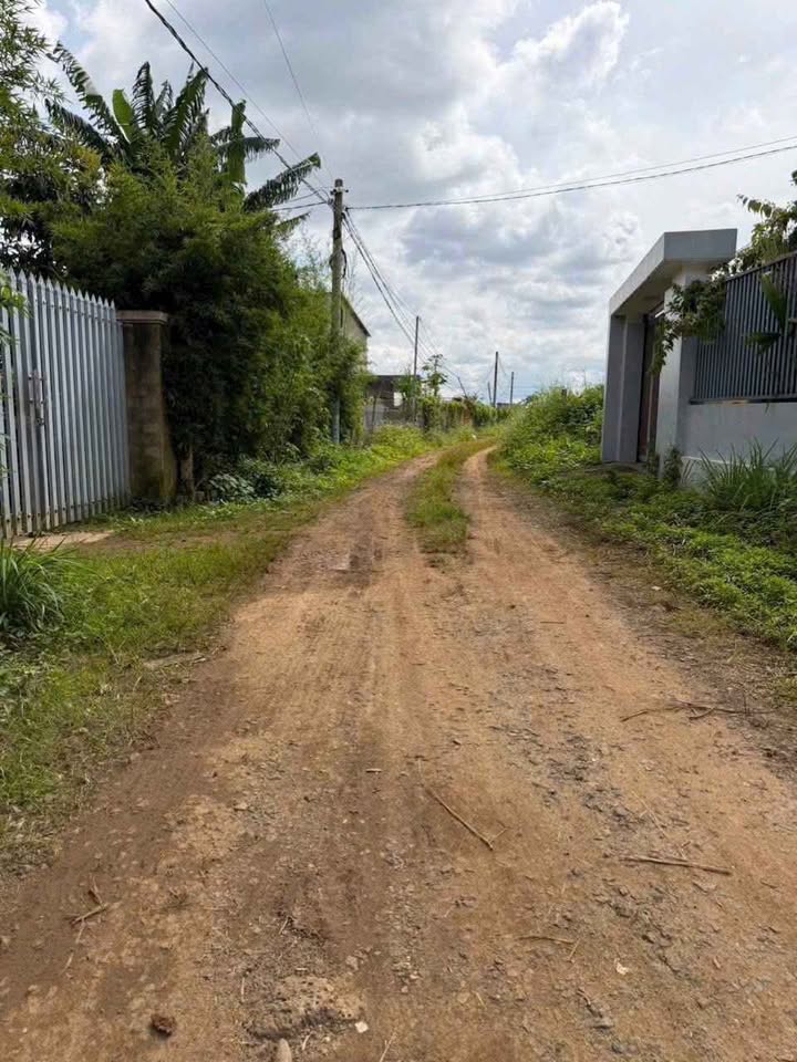 Bán đất Hàn Thuyên, Đức Trọng, Lâm Đồng 130m² giá 888 triệu - Đầu tư sinh lời ngay!