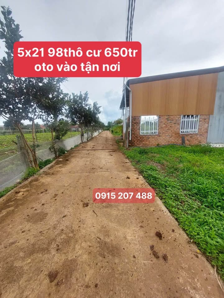 Đất nền Tân Hội - Đức Trọng 98m² giá 650 triệu - Đầu tư sinh lời ngay!