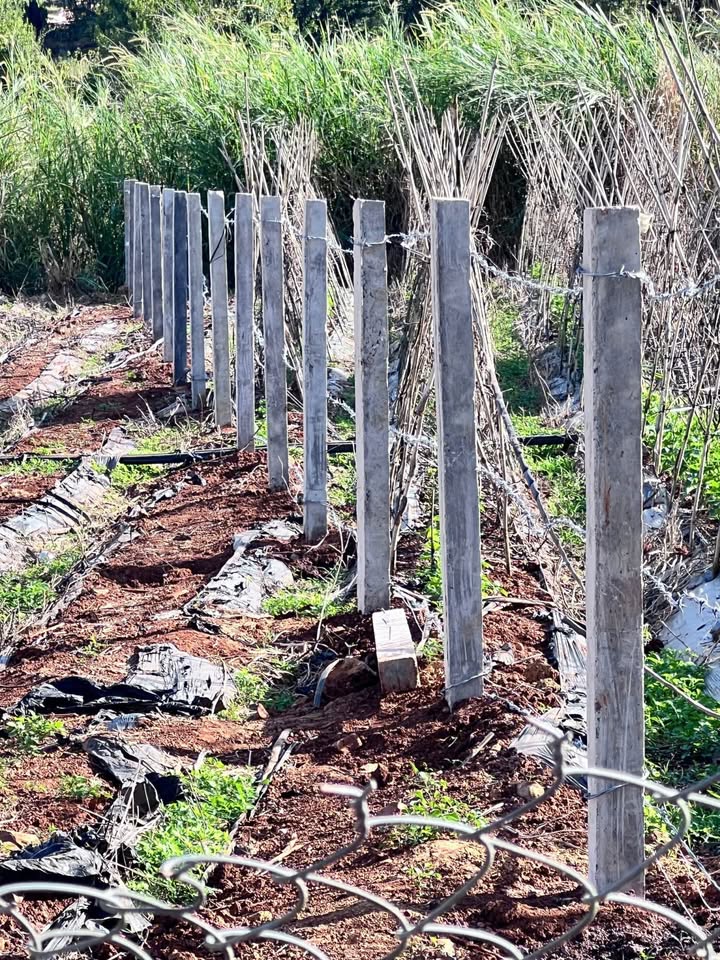 Đất nền Ninh Gia, Đức Trọng 297m² giá 900 triệu - Đầu tư sinh lời ngay!