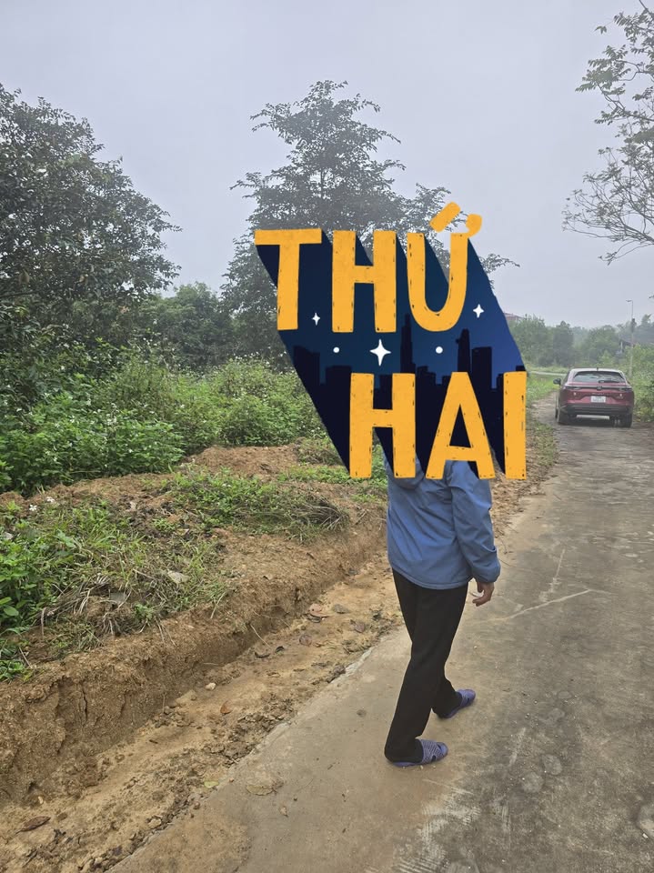 Đất thổ cư 1600m² tại Yên Trung, Bắc Ninh - Cơ hội đầu tư hấp dẫn!